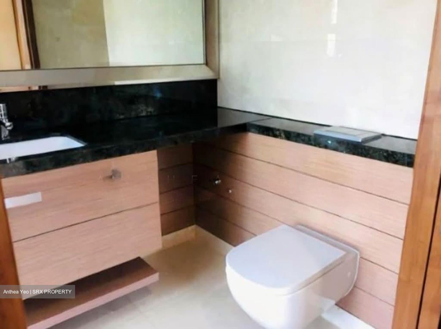 One Balmoral (D10), Condominium #560622711